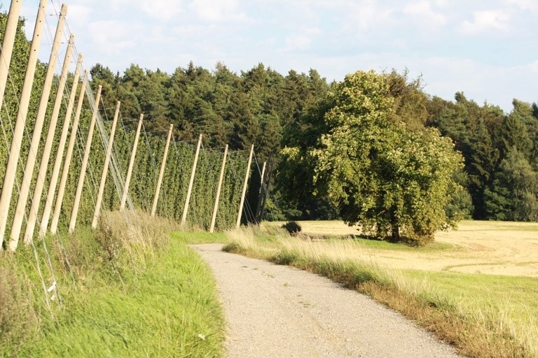 Foto: Landkreis Pfaffenhofen, Florian Schaipp
