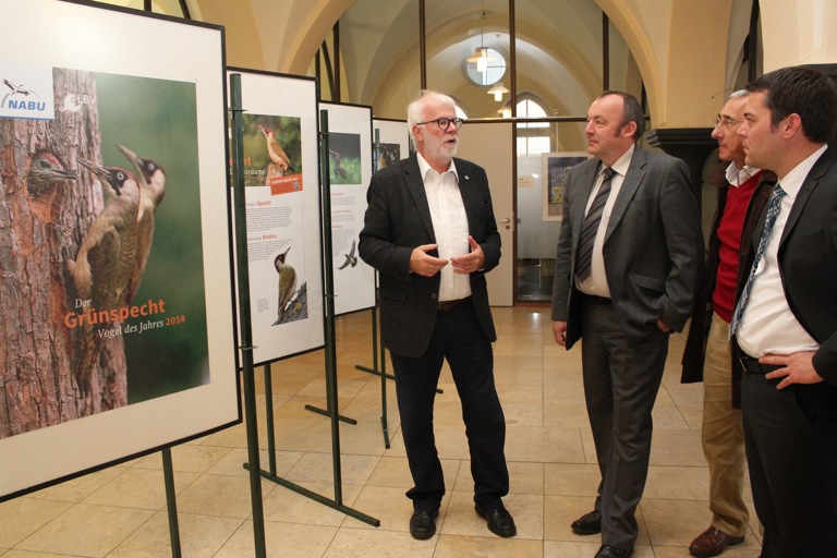 Ausstellungseröffnung im Rathausfoyer mit Professor Hans-Joachim Leppelsack (von links), Stadtrat Thomas Röder (CSU), LBV-Mitarbeiter Ludwig Friedl und Pfaffenhofens Bürgermeister Thomas Herker (SPD).