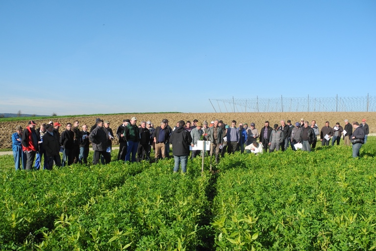 Viele Landwirte haben sich im Winter auf Veranstaltungen des AELF informiert, um auf die Agrar-Reform reagieren zu können. Hier ein Bild von einem Termin im November.