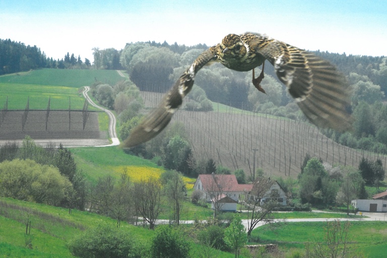 Ausschnitt aus dem Titelbild der Broschüre. Quelle: Landratsamt