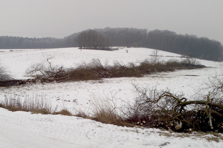 Plattgemachtes Biotop. Foto: Verwaltungsgemeinschaft Mainburg