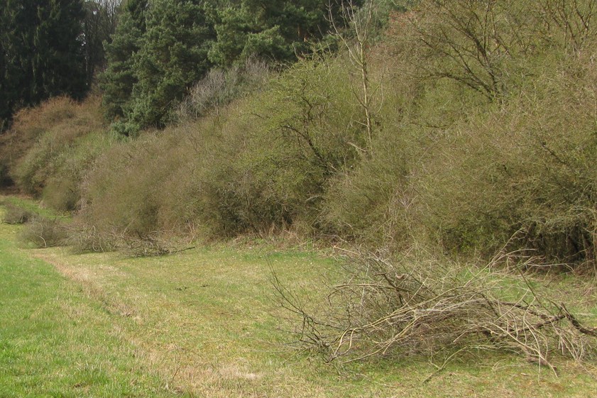 Foto: Dirndorfer