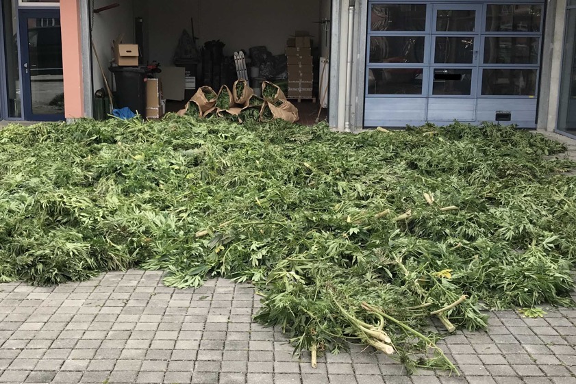 Fotos: Polizei