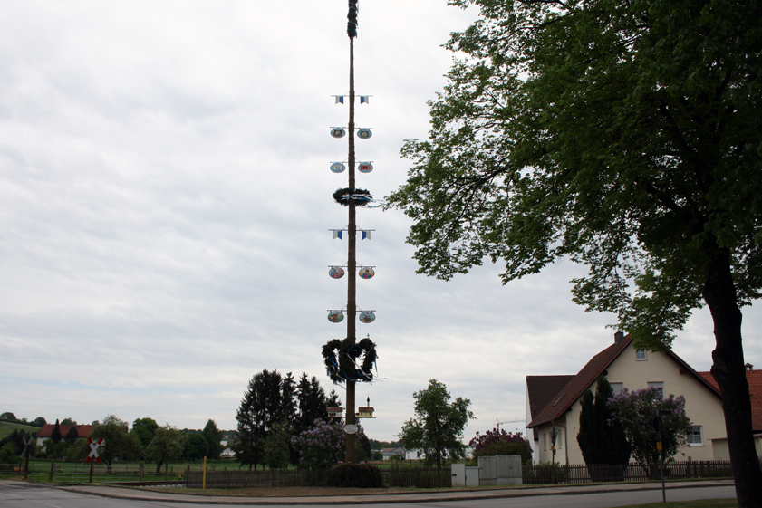 Spitze: Der Gosseltshausener Maibaum hat den diesjährigen Wettbewerb gewonnen. Fotos: Landratsamt