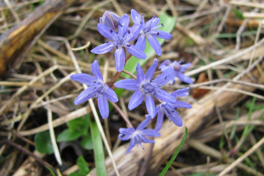 Foto: Dirndorfer