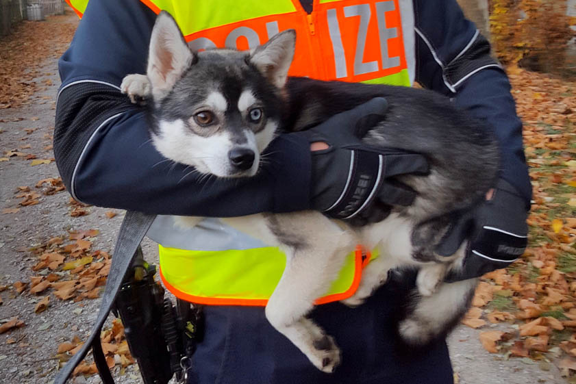 Foto: Bundespolizei
