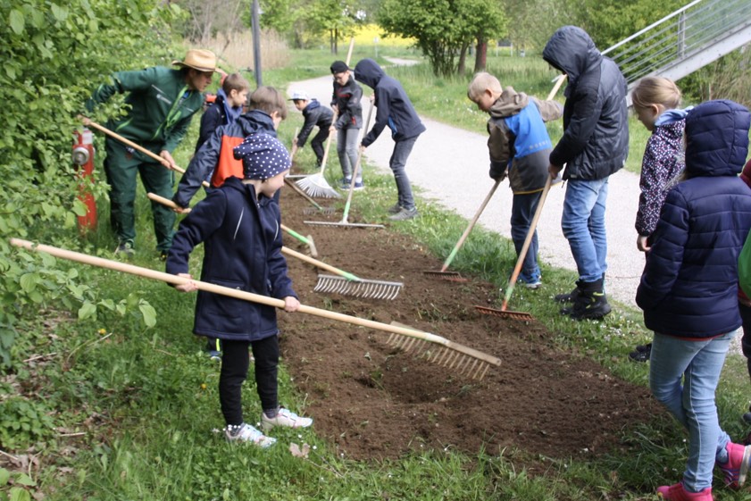 Die Kinder aus der Grundschule Niederscheyern und der Adolf-Rebl-Schule bereiten das Beet vor, um eine Bienenweide anzusäen. Foto: Elisabeth Lang