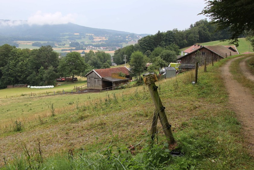 Foto: Alexander Auer