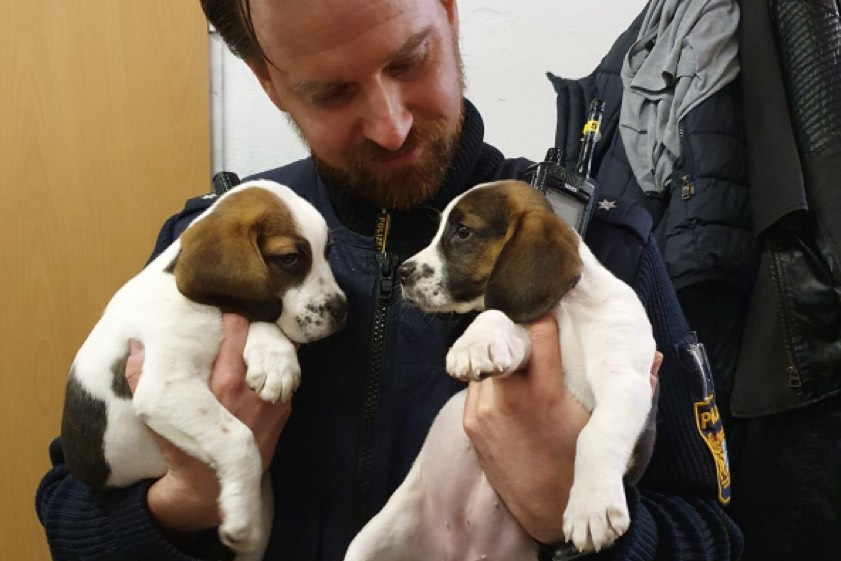 Foto: Polizeiinspektion Neutraubling