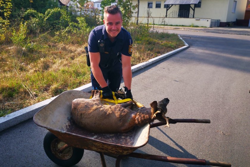 Foto: Polizei Kelheim
