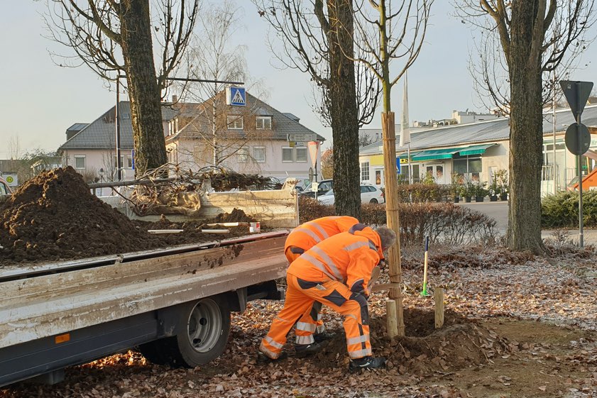 Baumpflanz-Arbeiten im vergangenen Winter. Archivfoto: Stadtverwaltung
