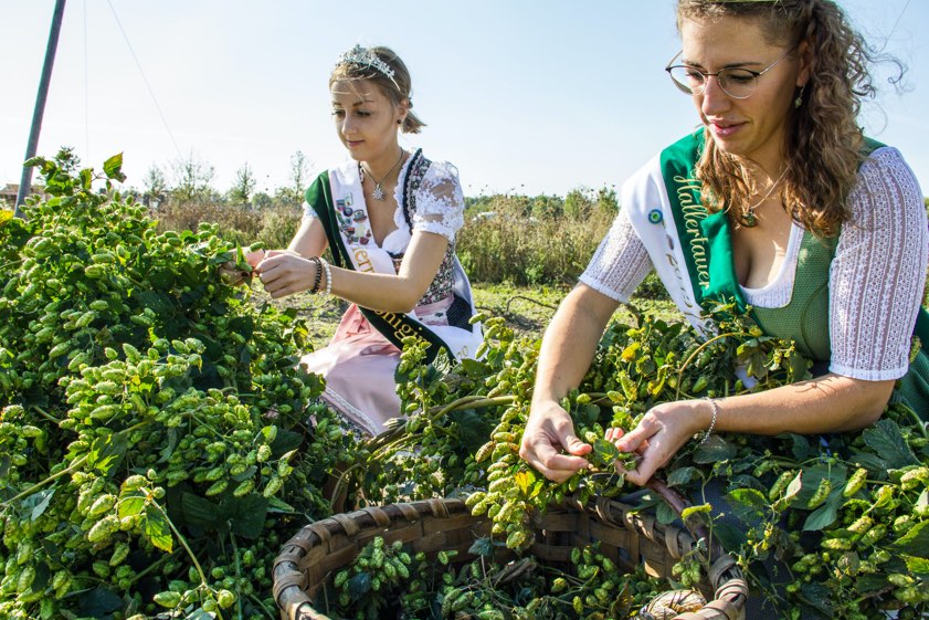 Fotos: Landesgartenschau Ingolstadt, Lea Rochus