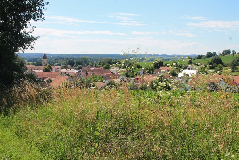 Das Oktober-Motiv zeigt Freinhausen. Foto: Huber