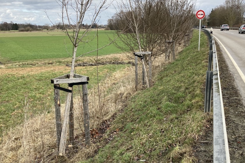 Foto: Staatliches Bauamt Ingolstadt