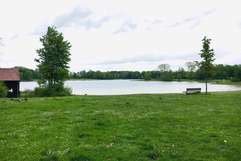 Dieses Foto entstand heute am Karlsfelder See. Foto: Giesenregen