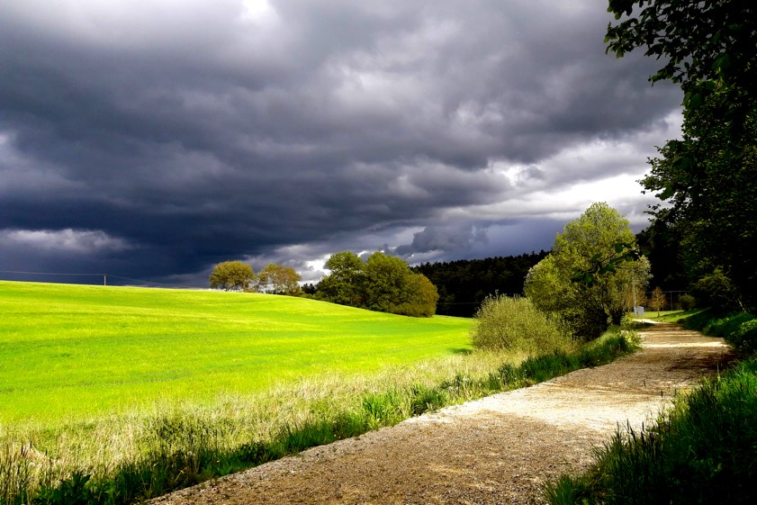 Foto: Ilse Morriss