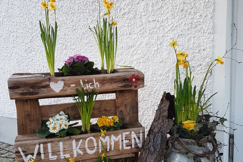 Am Eingang der Dorfhelferinnen-Schule in Pfaffenhofen. Foto: AELF Ingolstadt Pfaffenhofen