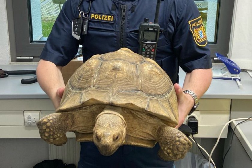 Fotos: Polizei
