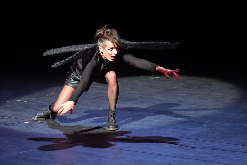 Beim "Spielzeit-Cocktail" am vergangenen Samstag stellte das Ensemble des Theaters sozusagen in kurzen Häppchen die neuen Stücke dem Publikum vor. In dieser Saison bietet die VHS wieder einen Bus-Transfer zu den Aufführungen an. Fotos: Stadttheater Ingolstadt