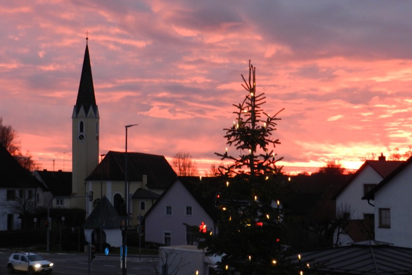 Foto: Angelika Denk