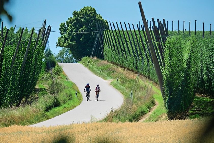 Ausschnitt aus dem Titelbild der neuen Fahrrad-Karte.