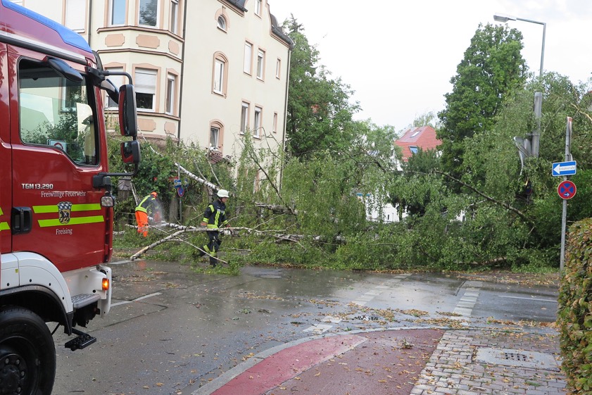 Ein umgestürzter Baum blockierte die Haydstraße und musste von der Feuerwehr beseitigt werden. Foto: Feuerwehr Freising