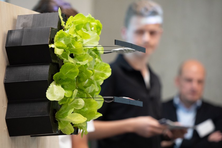 Der Prototyp des diesjährigen Gewinner-Teams: Ein vertikaler Garten aus recycelten Materialien. Foto: THI