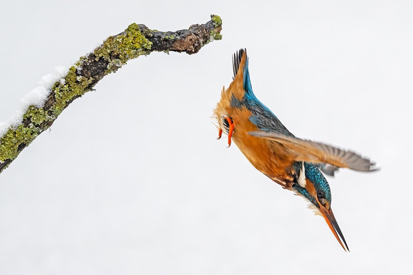 Fotos: Rainer Schaaf