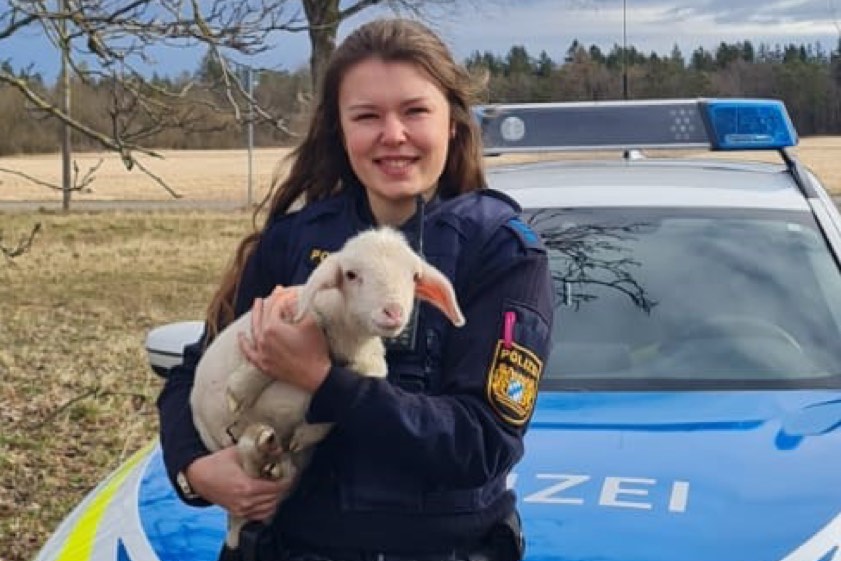 Foto: Polizei