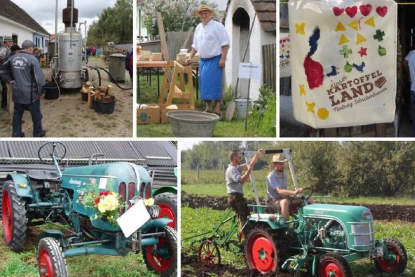 Fotos: Haus im Moos