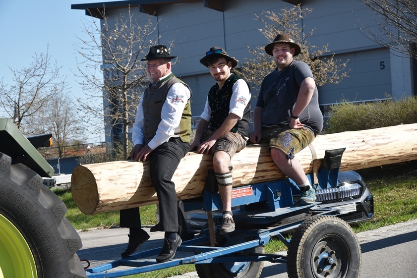 Sie hatten den Hut auf: Nach intensiven Verhandlungen brachten die Donaumooser Maibaum-Diebe (hier drei der Protagonisten auf dem Diebesgut) am heutigen Sonntag den in der Kreisstadt erbeuteten Stamm zurück. Fotos: Raths, oh, privat, Stadtwerke Pfaffenhofen