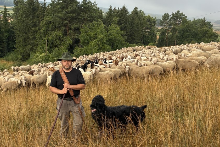 Michael Meier mit seiner Herde auf einem Magerrasen bei Bertoldsheim. Foto: Prestele