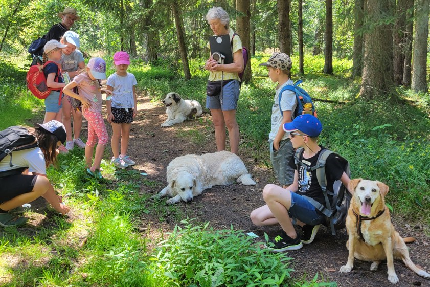 Die Sommer-Wanderung fand mit den Hunden Lilly, Elli und Ayla sowie den Betreuern Bettina Markl, Margret und Alex Hilbig rund um den "Fuchsbau" in den Wäldern und an den Seen statt. "Im Herbst wird es auch wieder viel zu entdecken geben für Kinder", verspricht der BN.
