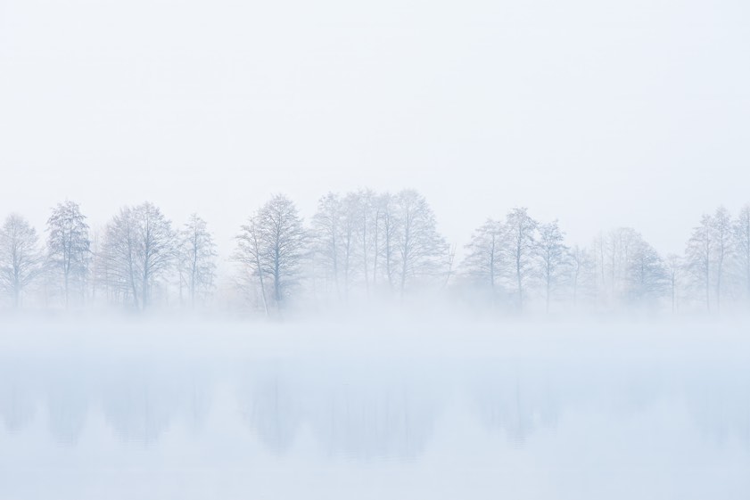 Foto: Rainer Schaaf