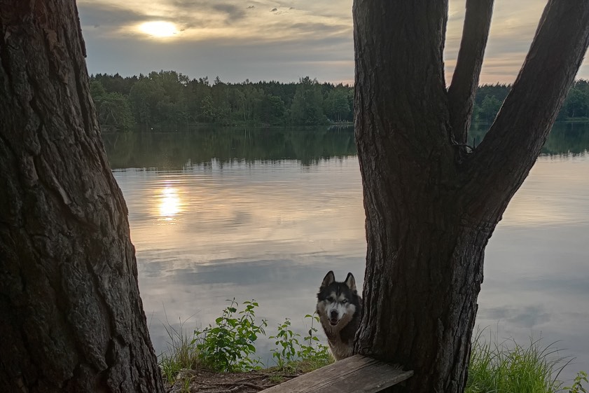 Foto: Doris Höfler