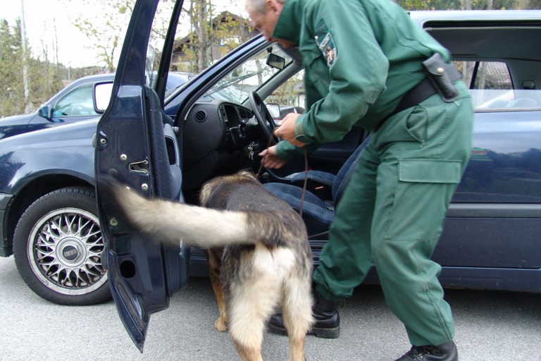 Symbolbild: Polizei